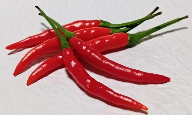 18禁カレー_辛さ_2